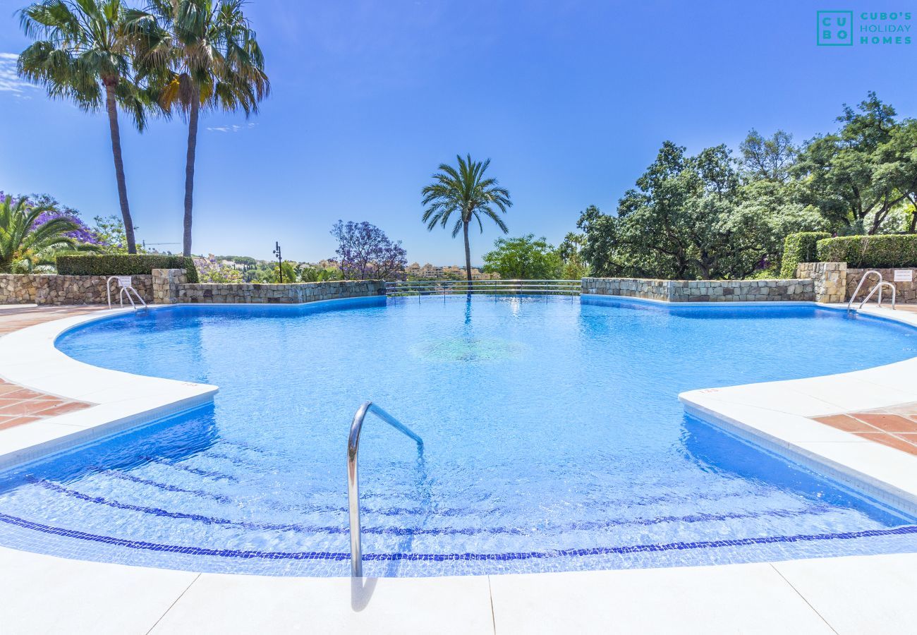 Piscina comunitaria de este apartamento en Marbella