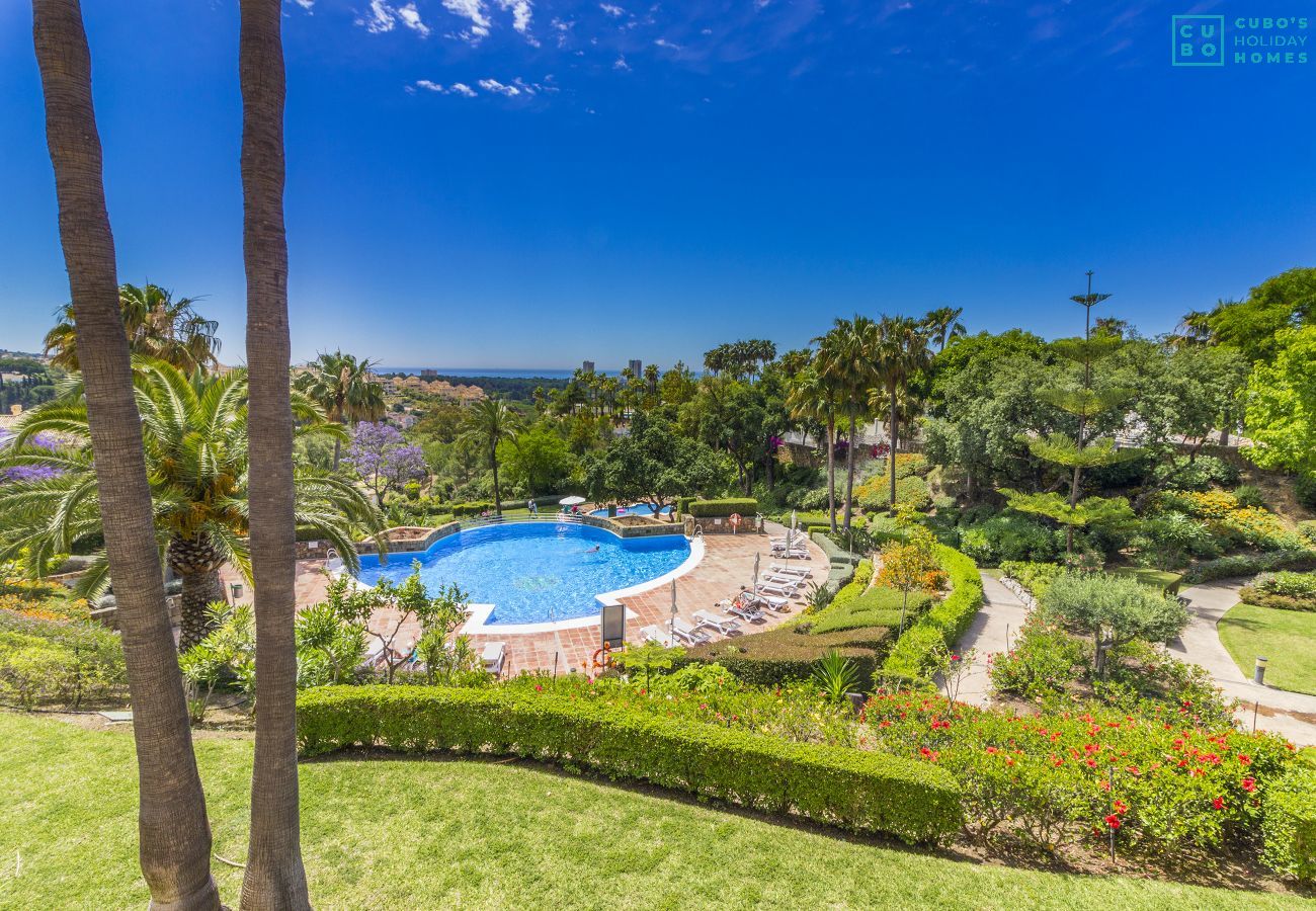 Piscina comunitaria de este apartamento en Marbella