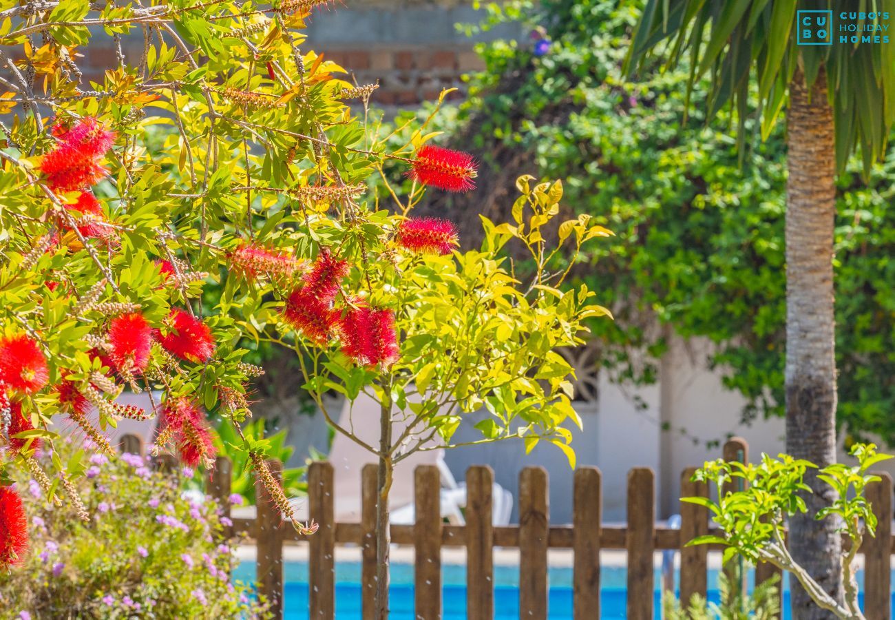 Casa rural en Alhaurin de la Torre - Cubo's Pink Townhouse Los Manantiales