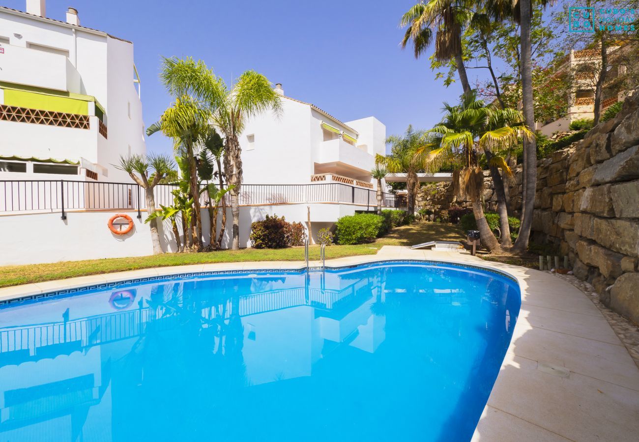 Rent by room in Benalmádena - Cubo's Poseidon Room 3 & Pool