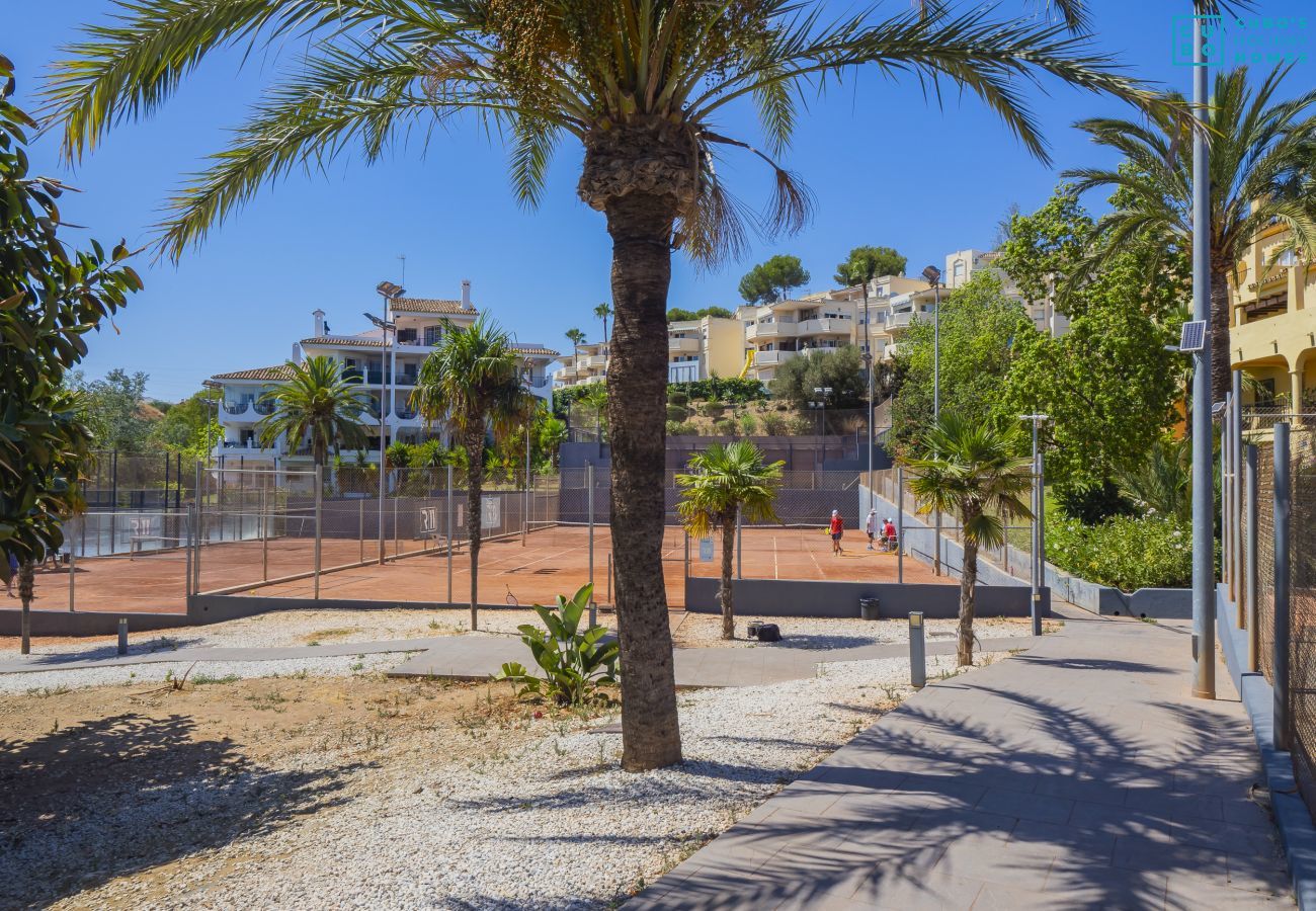 Apartment in Mijas Costa - Cubo's Tennis Paradise Duplex