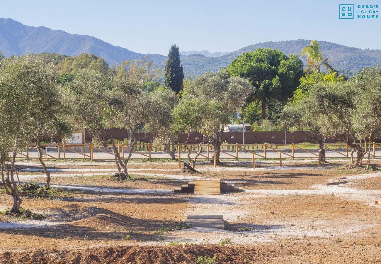 Chambres d'hôtes à Alhaurín el Grande - Cubo's Kurt Rural Room 1 Garden View