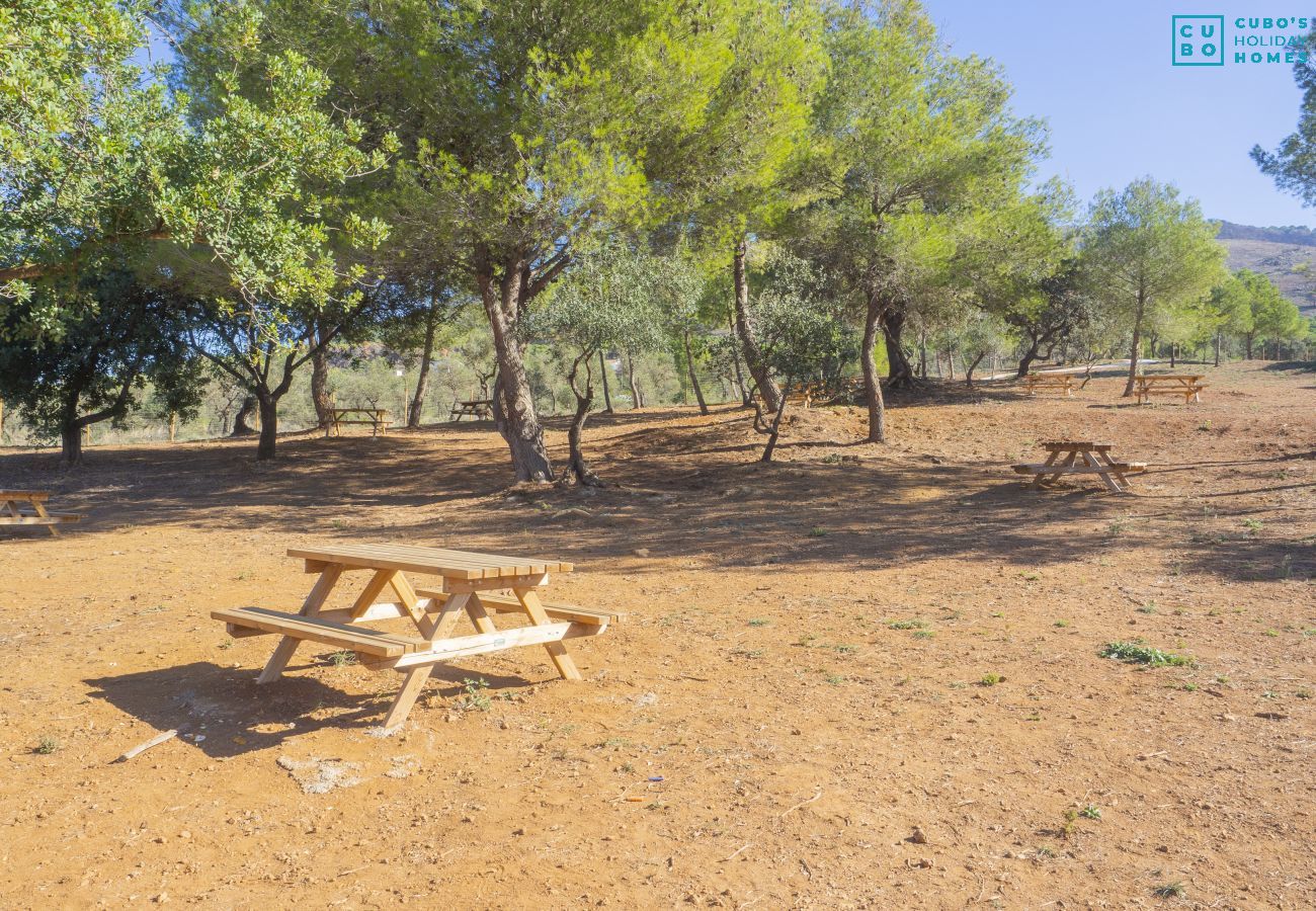 Chambres d'hôtes à Alhaurín el Grande - Cubo's Kurt Rural Room 1 Garden View